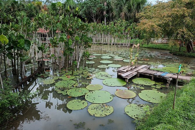 Amazon River Adventure Full Day Tour - Common Questions