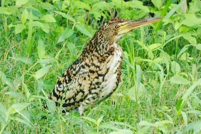 Amazon Wildlife Explorations - Cancellation Policy