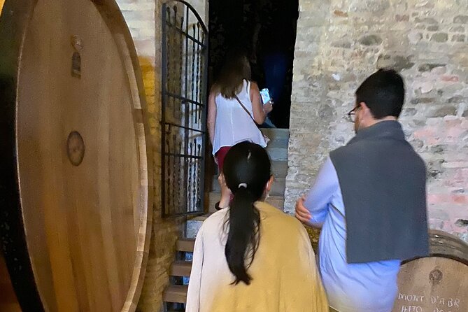 Among Ancient Sunny Vineyards, Visit and Taste the Wines From the San Lorenzo Cellar - The Unique Terroir of the Vineyards