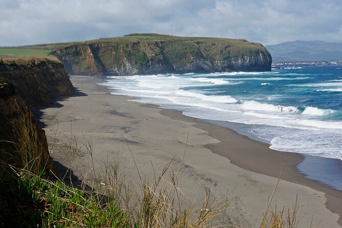 Among Whales Dolphins and Volcanoes Full Day Tour With Lunch - The Sum Up