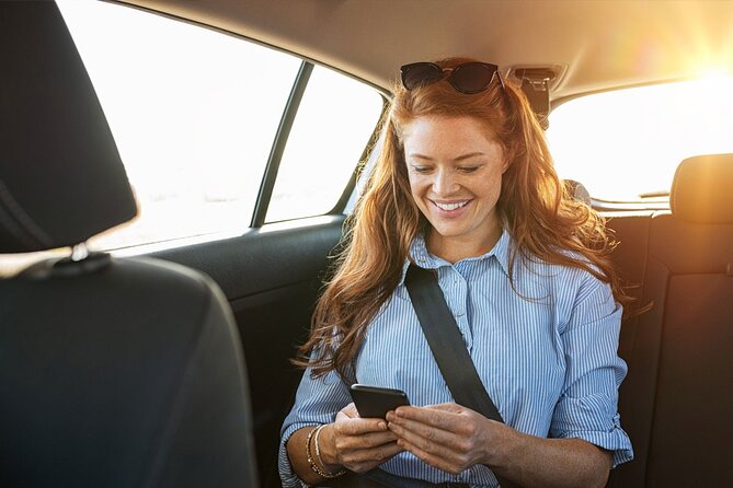Amsterdam Private Airport Transfer - Driver Details