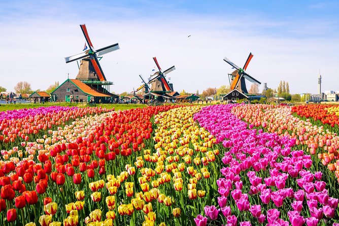 Amsterdam: Tour to Zaanse Schans, Volendam, Marken,Edam and Amsterdam Bus Tour - Culinary Delights