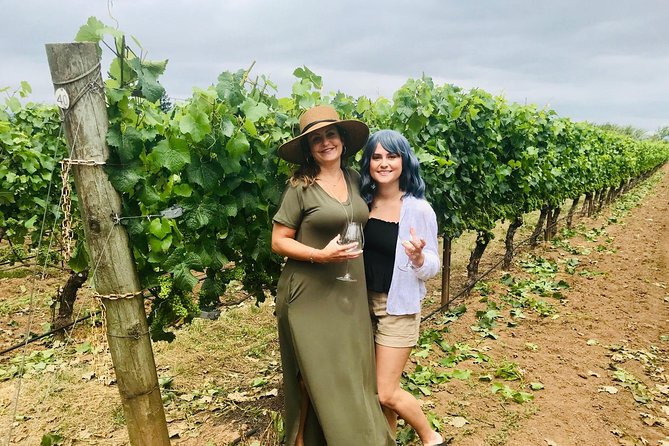 Amy & Rebas Day Drinking Wine Tours, Where Well Drive You to Drink - Meeting and Pickup