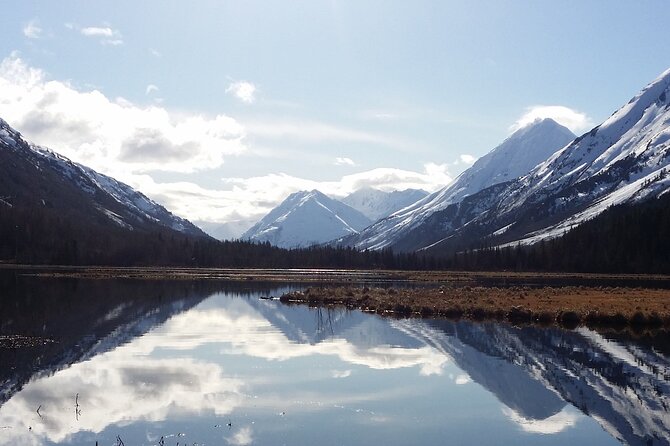 Anchorage to Whittier Cruise Transfer and Private Tour - Reviews