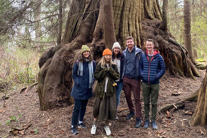 Ancient Trees of Vancouver Walking Tour - Tour Highlights