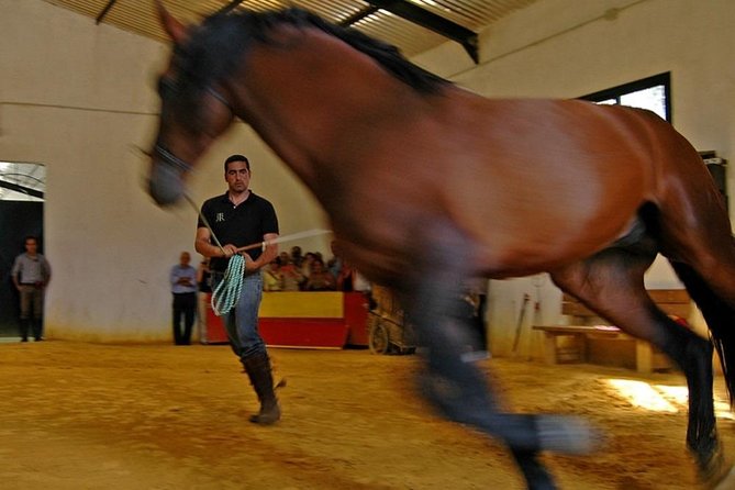 Andalucia Bull and Horse Farm and Ronda Private Tour From Malaga - Cancellation Policy