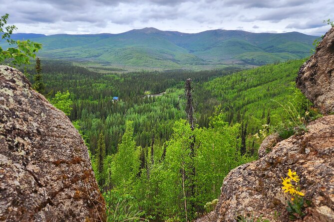Angel Rocks Hike and Chena Hot-Springs Soak Guided Tour - Review Highlights