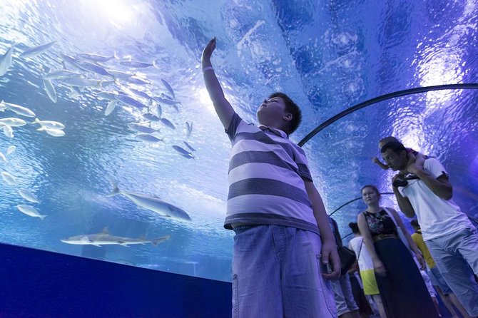 Antalya Aquarium Admission With Optional Antalya City Tour and Duden Waterfall - Inclusions and Exclusions