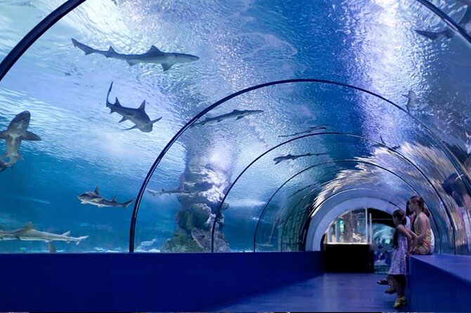 Antalya Aquarium Full-Day Trip - Company Overview