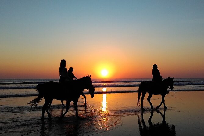 Antalya Horse Riding On Beach And Through The Forests For 2 Hours - Important Information