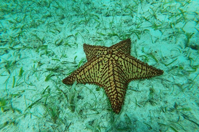 Antilla Shipwreck Seabob Tour - Highlights of the Seabob Tour