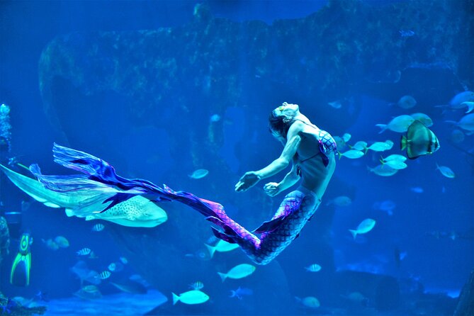 AquARia Phuket and AR Trick Eye Museum Entrance Ticket - Thailand - Operator and Staff Information
