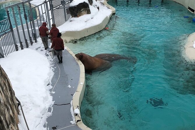 Aquarium Du Quebec: a Playground Overflowing With Life! - Visitor Photos and Reviews