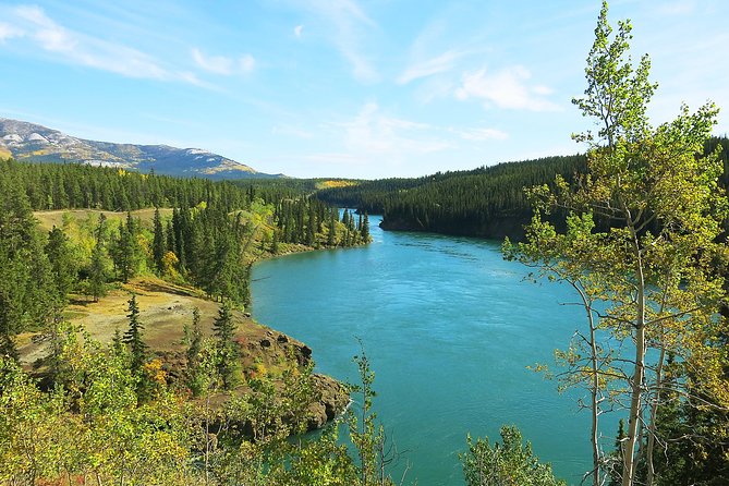 Arctic Day: Hiking Tour Half Day - Important Information and Booking Details
