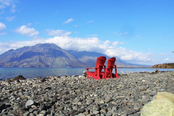 Arctic Day: Kluane National Park Tour Full Day - Common Questions