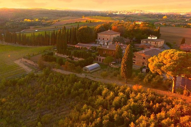 Arezzo: Wine Tasting Experience in Valdichiana Area - What To Expect