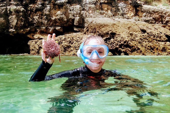 Arrábida Snorkeling Adventure With Transfer From Lisbon - Tour Highlights and Activities