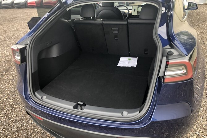 Arrival Private Transfer From Las Vegas Airport to Las Vegas by Electric Vehicle - Additional Information