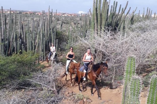 Aruba Horseback Riding Tour to Urirama Cove - Common Questions