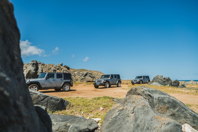 Aruba Off-Road Adventure: Jeep Tour and Optional Snorkeling Cruise - Reviews and Testimonials