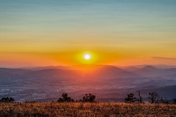 Assisi, City Highlights and Basilica of St. Francis Tour - The Sum Up
