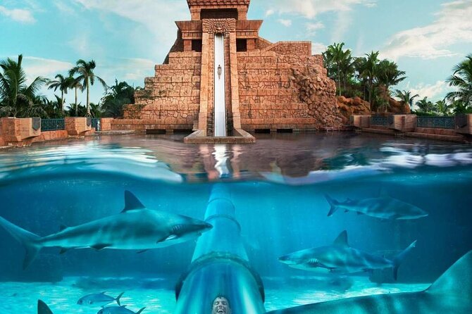 Atlantic Aquaventure Water Park - Dubai UAE (Shared) - Good To Know