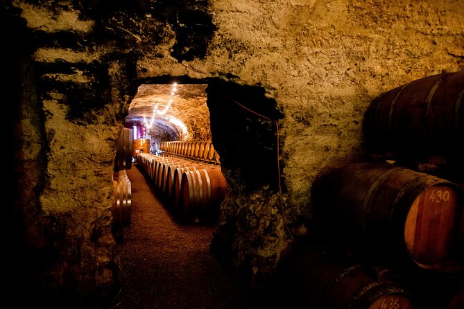 Aude Hidden History and Wine Tasting at ChȃTeau De Luc  - France - Immersive Family History Tour
