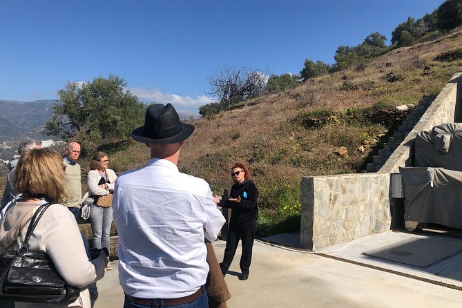 Axarquia VIP Wine Tour With Gourmet Winery Lunch Experience - Wine Tasting and Education