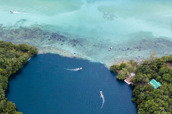 Bacalar Lagoon Guided Tour From Costa Maya Port - Cancellation Policy and Reviews