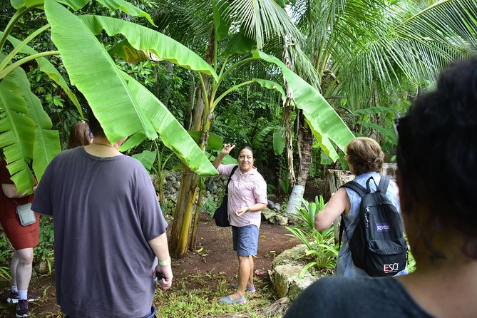 Bacalar Seven Color Lagoon and Mayan Experience Combo Tour - Additional Information