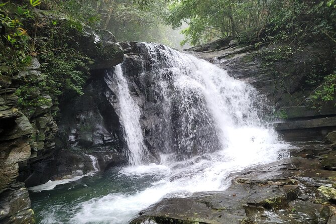 Bach Ma National Park Trekking Daily Tour From Hue - Common Questions