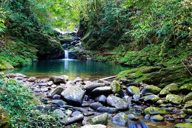 Bach Ma National Park Trekking Day Tour - Directions