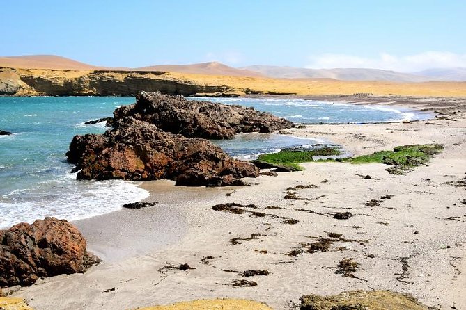 Ballestas Islands and Paracas National Reserve Day Trip From Paracas - Cancellation Policy