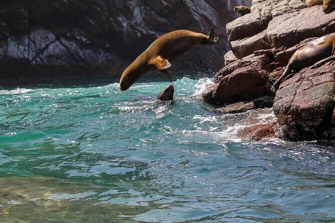 Ballestas Islands & National Reserve of Paracas From Ica - Start Time, End Point, and Pickup Details