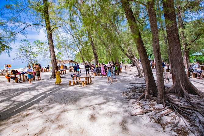 Bamboo Island and Phi Phi Island Full Day Tour From Phuket - End Point and Seamless Experience
