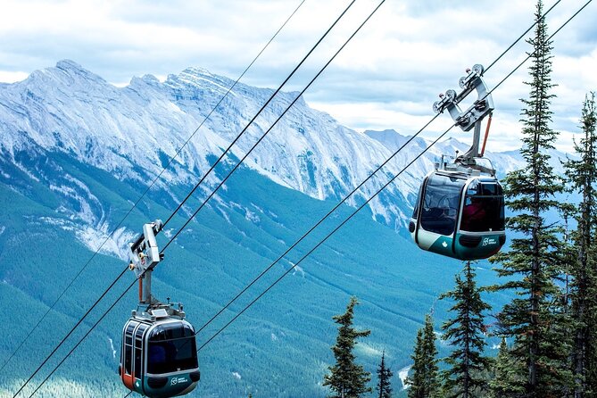 Banff Area & Johnston Canyon 1-Day Tour From Calgary or Banff - Positive Feedback on Tour Guide and Driver