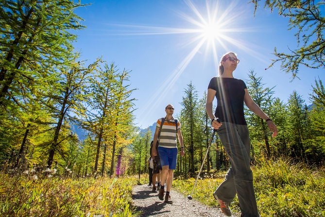 Banff National Park Guided Hike With Lunch - Trail Options
