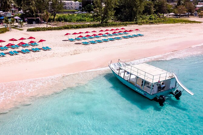 Barbados Beach Lounger & Turtle Snorkel Combo Carlisle Bay - Tour Highlights