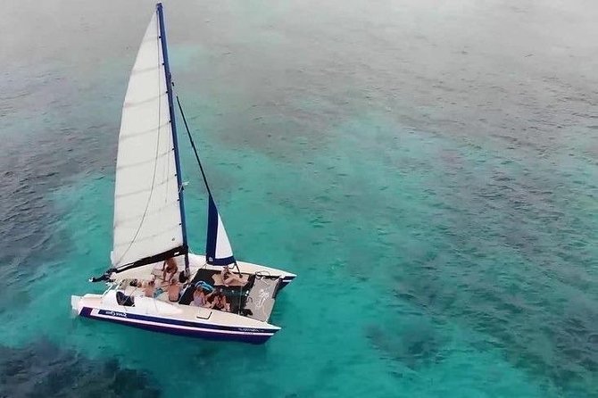 Barbados Catamaran Snorkel Cruise With Lunch and Open Bar - The Sum Up