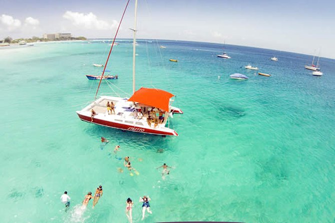 Barbados Catamaran Turtle Snorkel With Open Bar - Traveler Photos and Reviews