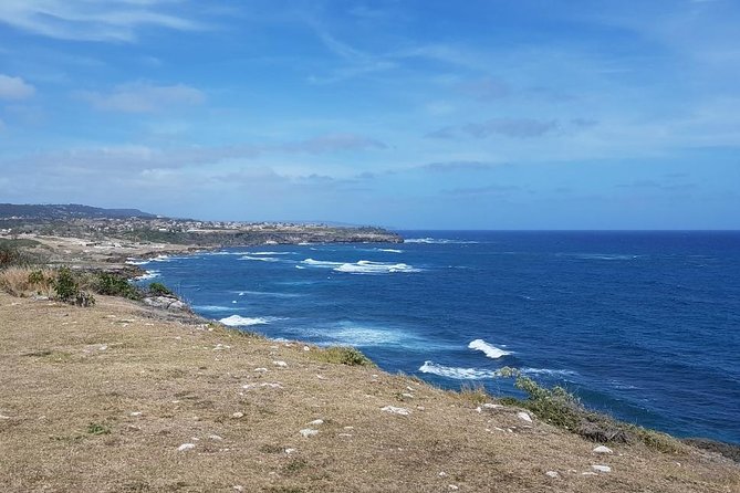 Barbados Coastal Sightseeing Private Tour - Sample Locally Made Drinks