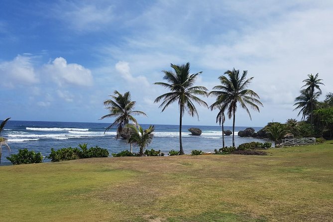 Barbados Full-day Private Tour - Positive Feedback on Tour Guide