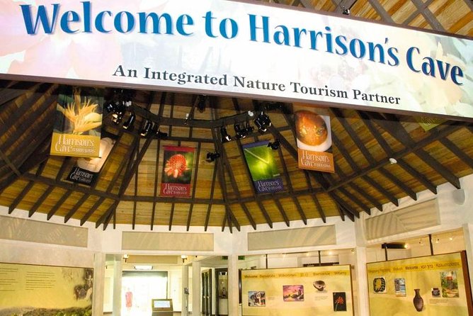 Barbados Harrisons Cave and Atlantis Submarine Dive Tour - Common Questions