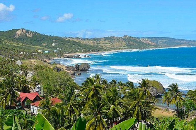 Barbados Island Tour With Lunch and Wildlife Sanctuary - Positive Tour Highlights
