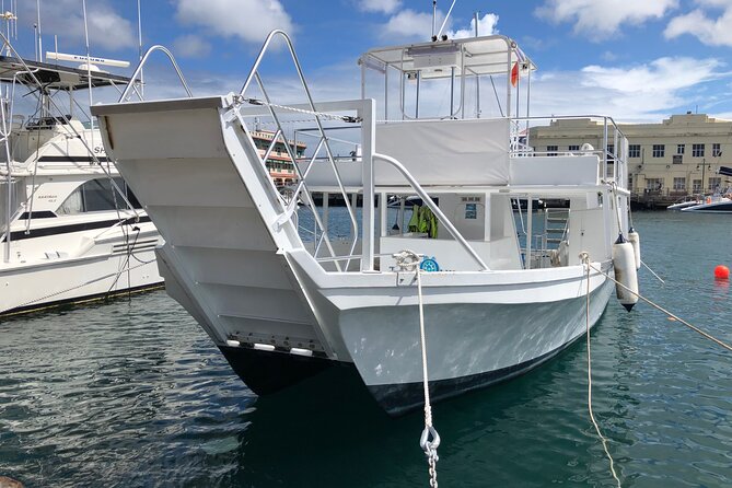 Barbados Turtle and Shipwreck Snorkel Adventure - Overview of the Experience