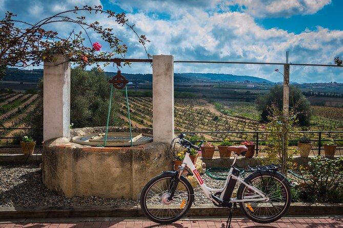 Barcelona: Wine & Ebike Full Day Guided Tour in Penedès - Full-Day Itinerary