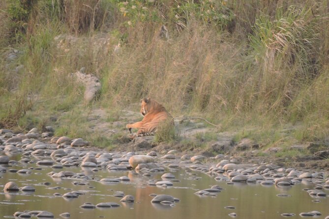 Bardia Tiger Tracking Tour 3 Nights 4 Days-Full Day Jeep Safari - Booking and Pricing Information