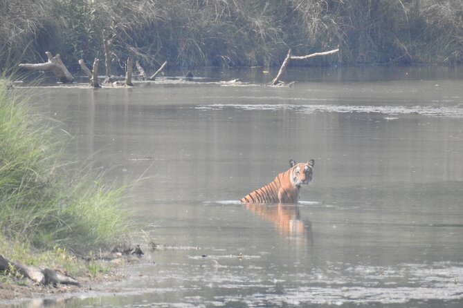 Bardia Walking Safari Tour 3 Nights 4 Days - The Sum Up
