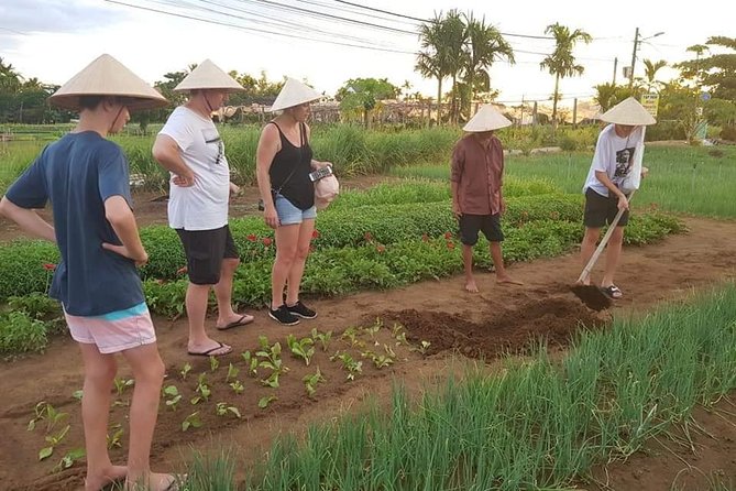 Basket Boat Ride - Vegetable Farming Activities -Pottery Village - Buffalo Ride - Taking in Local Culture and Traditions