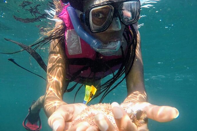 Beach Break Experience & Snorkeling With Lunch - Reviews and Ratings